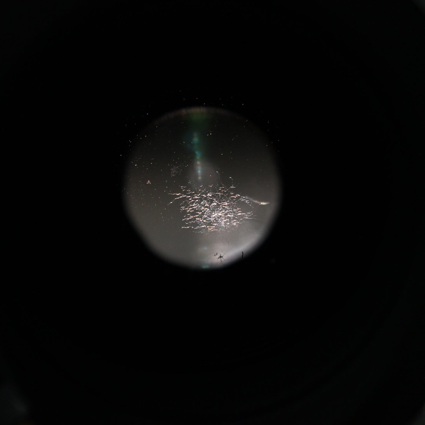 中古 SIGMA APO 150-500mm F5-6.3 DG OS HSM (キヤノン用) 【6月13日(土) YouTube生配信でご紹介】