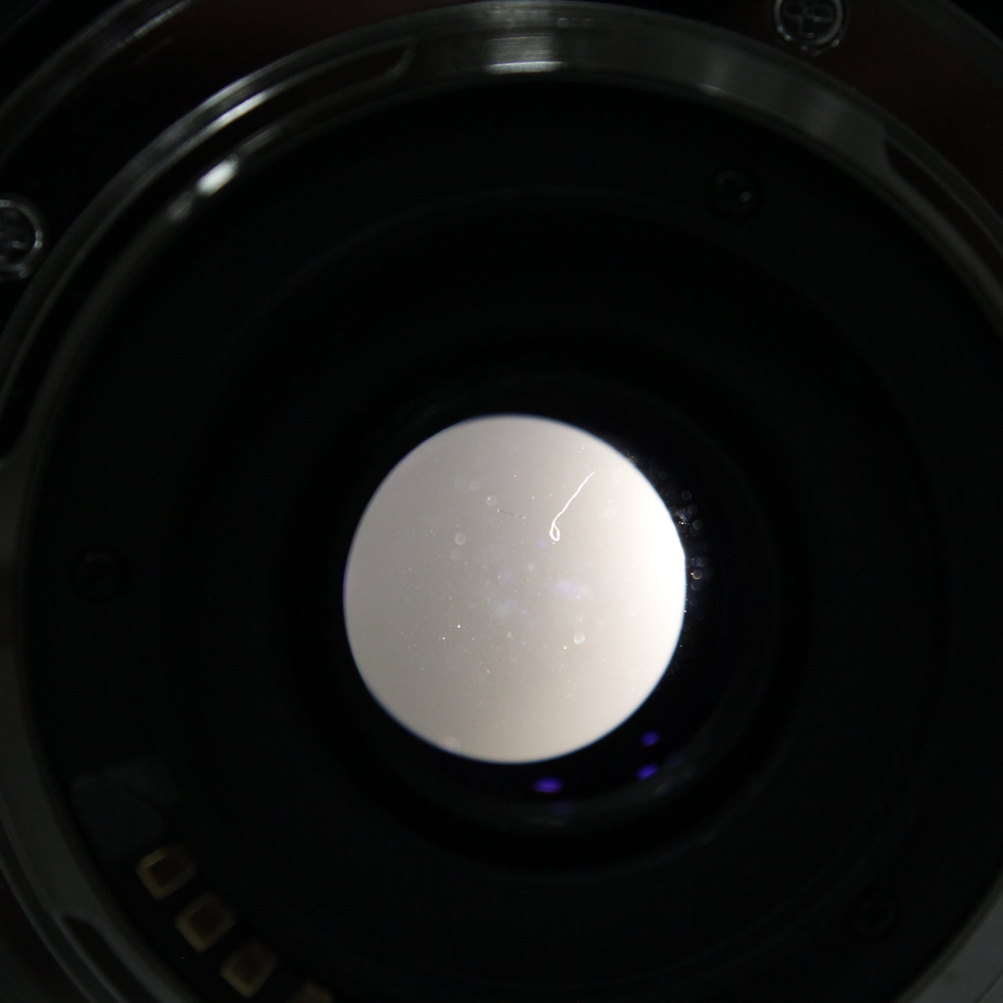 中古 OLYMPUS ZUIKO DIGITAL 35mm F3.5