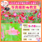 【写真教室】5月18日(土)開催！３００万本咲き誇るポピーを撮ろう！