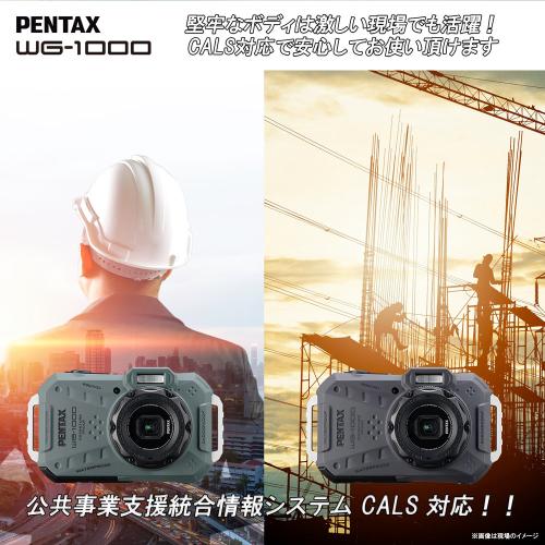 WG-1000 グレー