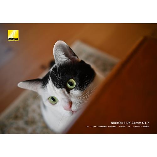 NIKKOR Z DX 24mm f/1.7