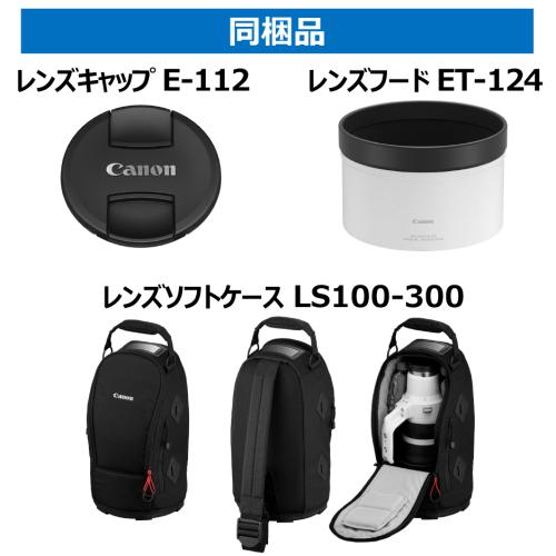 RF100-300mm F2.8 L IS USM