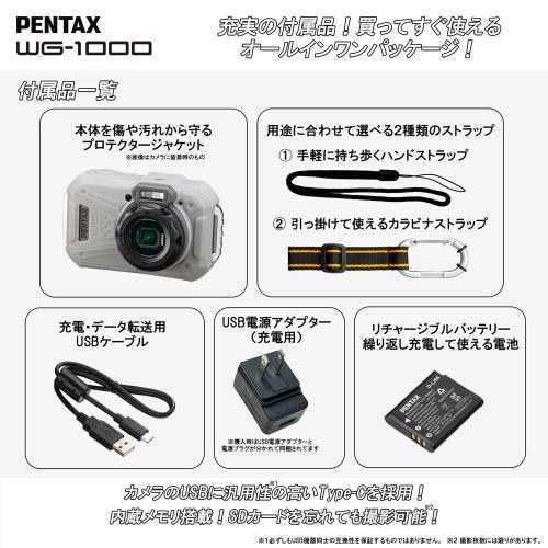 WG-1000 グレー