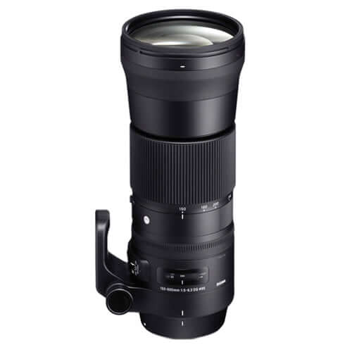 150-600mm F5-6.3 DG OS HSM Contemporary ニコンF用