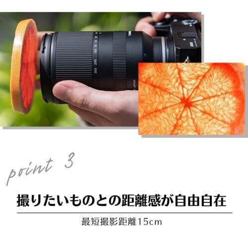 18-300mm F3.5-6.3 Di III-A VC VXD ソニーEマウント用(Model B061)