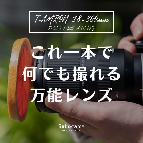 18-300mm F3.5-6.3 Di III-A VC VXD ソニーEマウント用(Model B061)