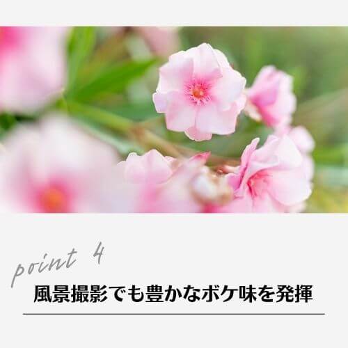 35-150mm F/2-2.8 Di III VXD ソニーEマウント用(Model A058)