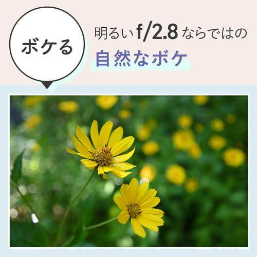 NIKKOR Z 17-28mm f/2.8