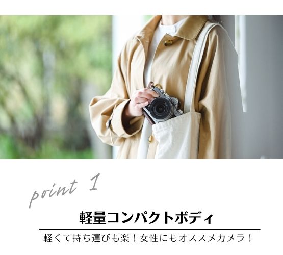 Z fc 16-50mm VR SL レンズキット シルバー