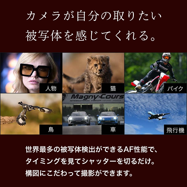 Z9 ボディ