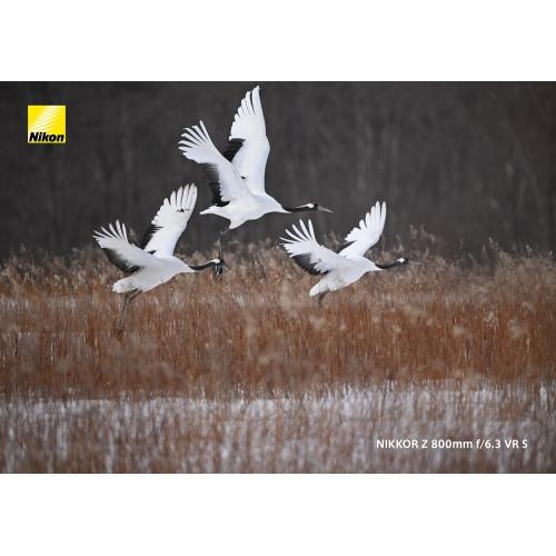 NIKKOR Z 800mm f/6.3 VR S