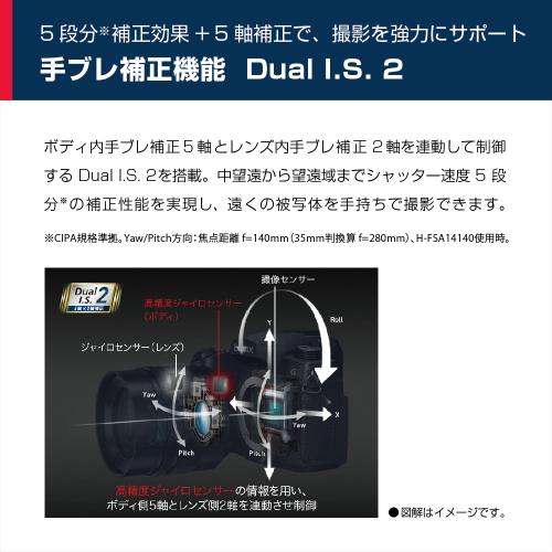 Panasonic(パナソニック) LUMIX DC-G99D-K ボディ ブラック