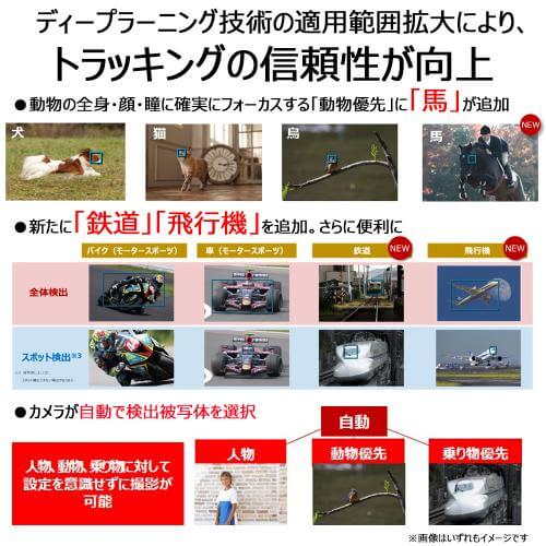 EOS R6 MarkII ボディ