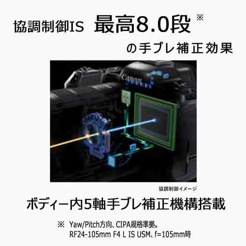 EOS R6 MarkII RF24-105 L IS USM レンズキット