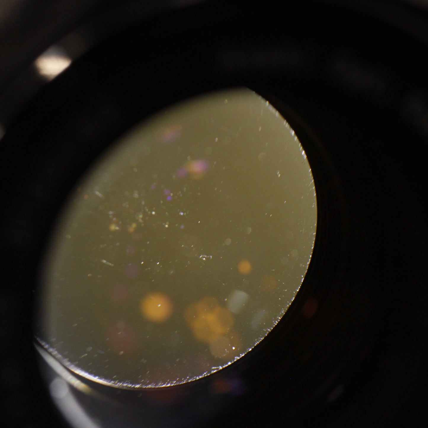 中古 Super-Takumar 55mm F1.8