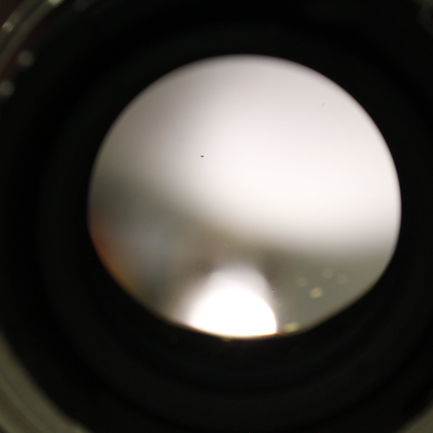 中古 Tokina AT-X DX SD 16-50mm F2.8 (Nikon用)