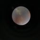 中古 TAMRON SP 150-600mm F5-6.3 Di VC USD G2 (Nikon用)　【6月6日(土) YouTube生配信でご紹介】