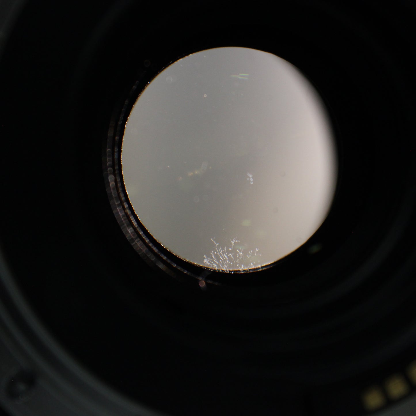 中古 TAMRON SP 90mm F2.8 Di MACRO VC (キヤノン用)