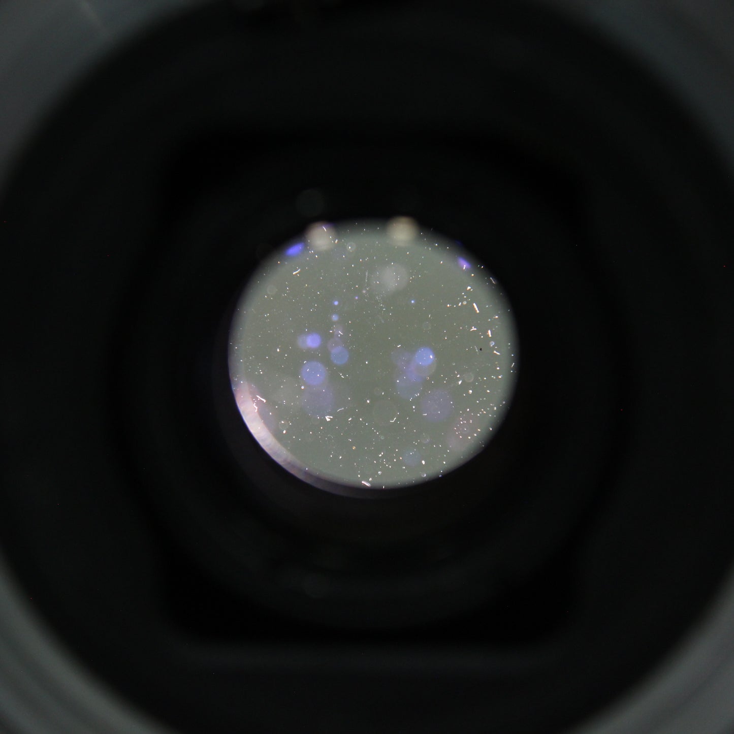 中古 Nikon Micro-NIKKOR Auto 55mm F3.5 #209630