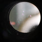 中古 Nikon Ai NIKKOR 105mm F1.8 S　【6月23日(火) YouTube生配信でご紹介】