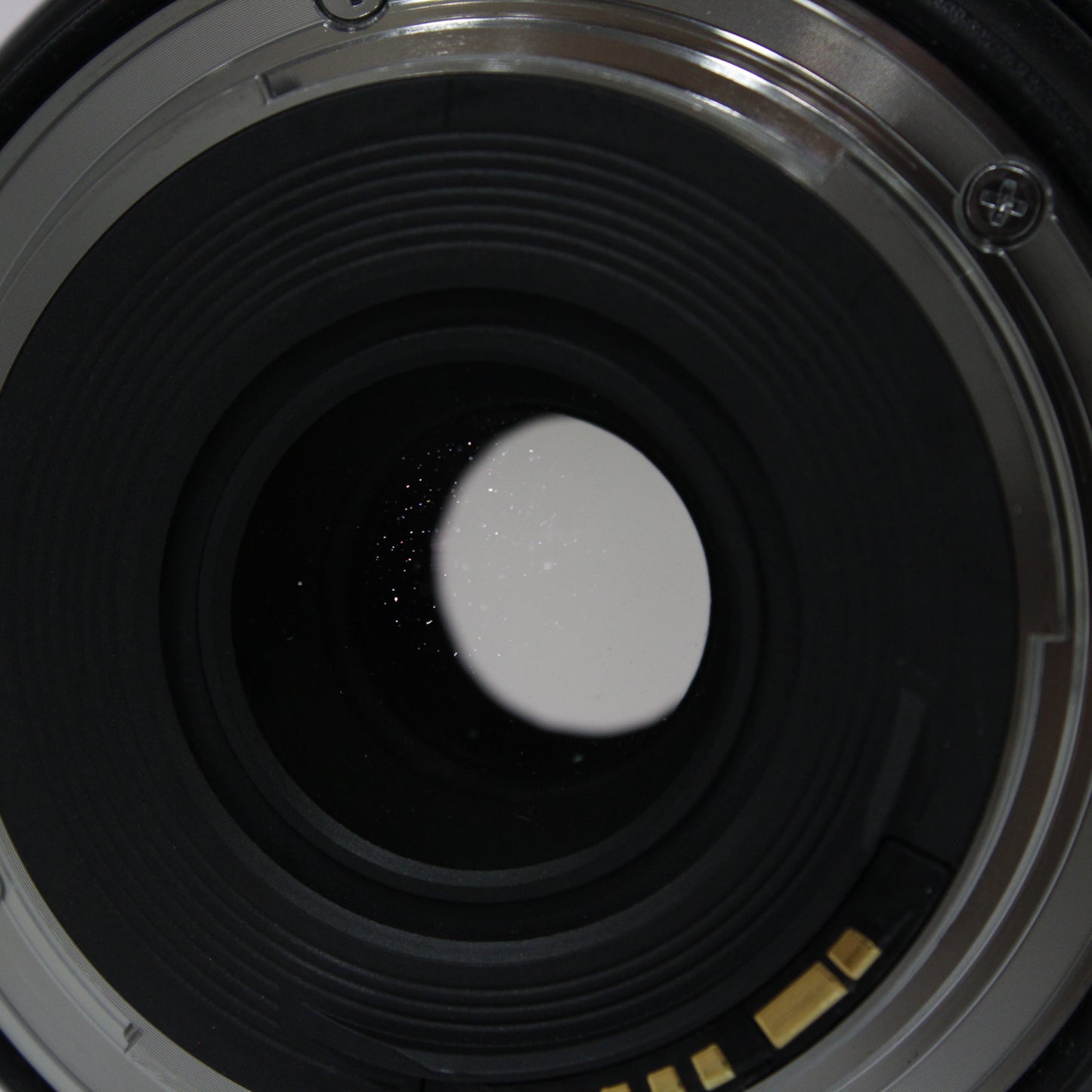 中古 Canon EF 24-70mm F4L IS USM　※予約商品