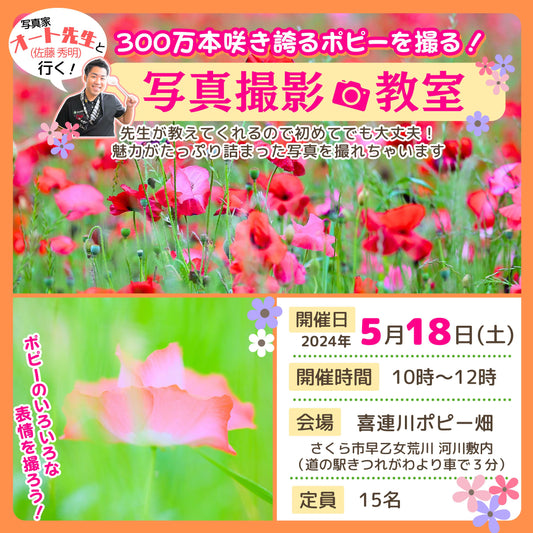 【写真教室】３００万本咲き誇るポピーを撮ろう！