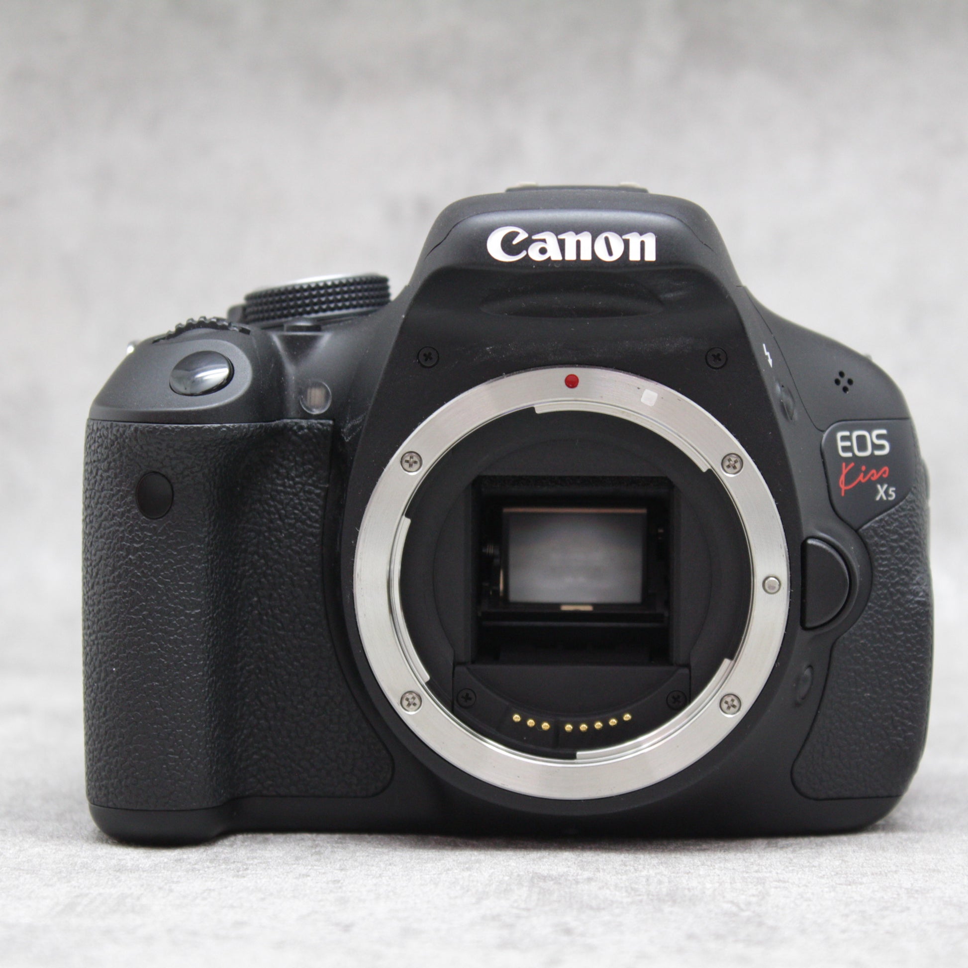 Canon EOS KISS X5 標準ズームキットカメラモモ - デジタルカメラ