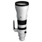 300-600mm F4 DG OS Sports Lマウント用[受注生産]