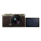 LUMIX DC-S9N-N ZLK 広角ズームレンズキット チタンゴールド