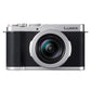 LUMIX DC-L10-S シルバー