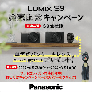 【15,000円キャッシュバック中!】LUMIX DC-S9K-K 標準ズームレンズキット ジェットブラック