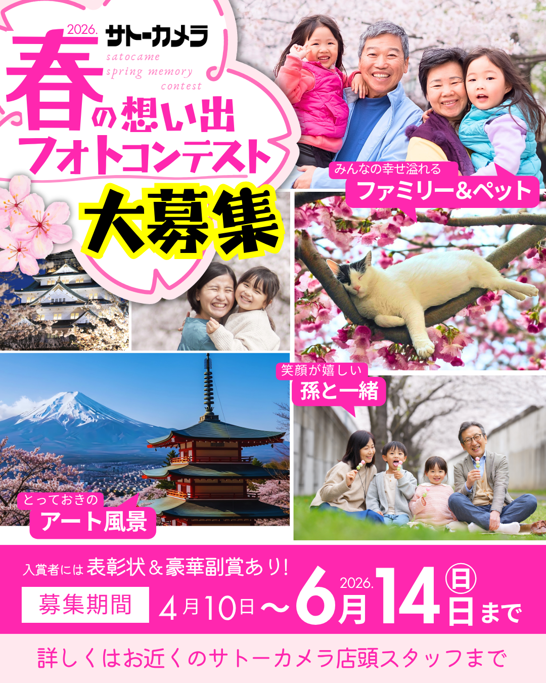 春の想い出フォトコンテスト応募フォーム