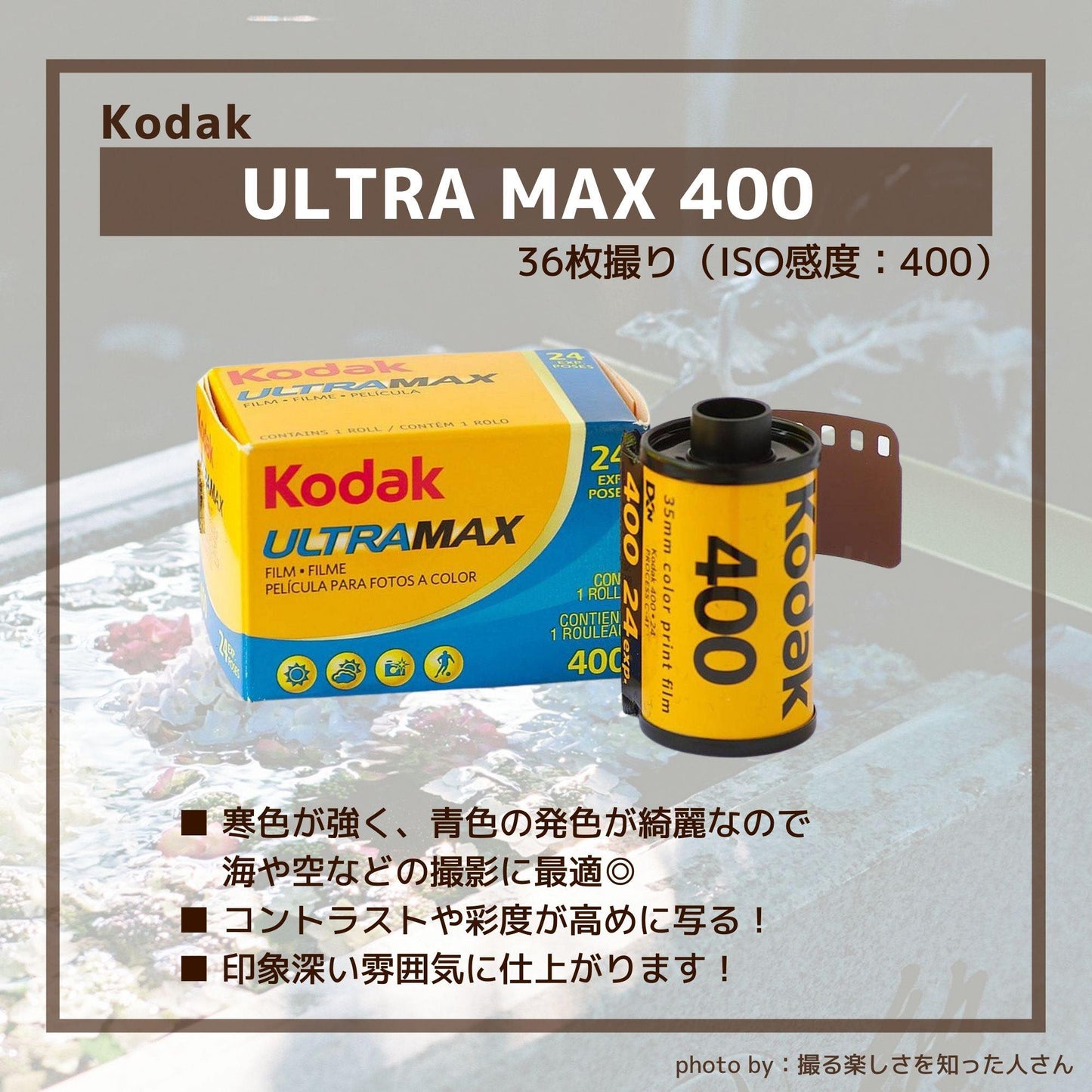 カラーネガフィルムULTRA MAX 400-36枚撮【10本】コダック カラーネガフィルム 新品