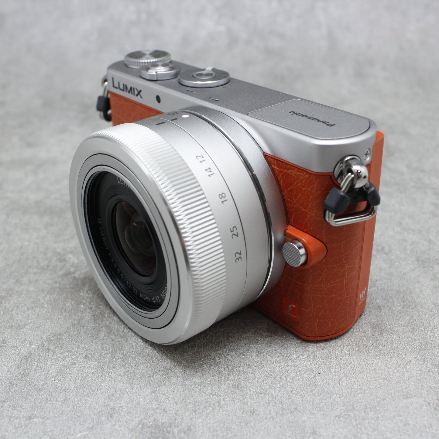 Panasonic LUMIX DMC-GM1 訳あり-